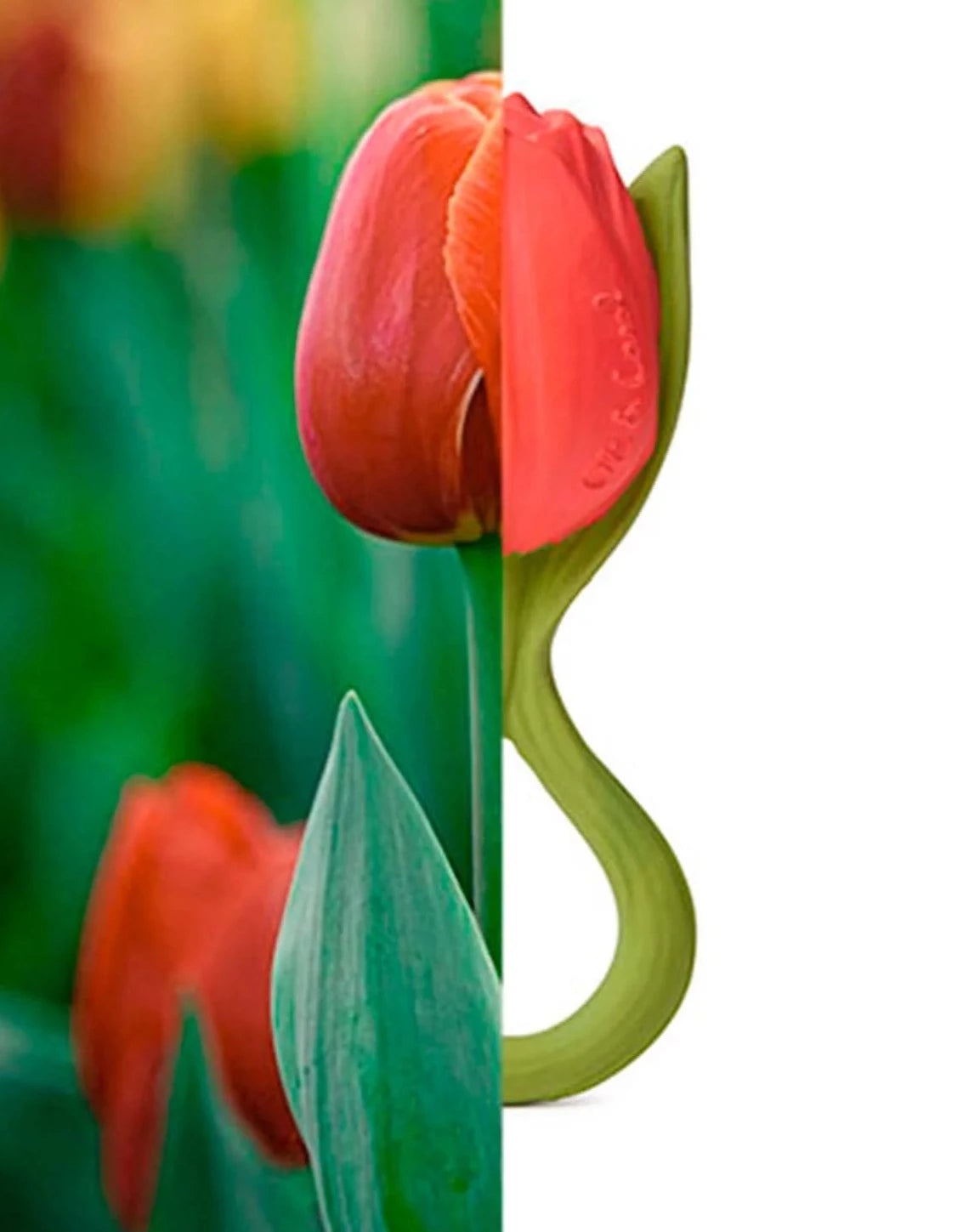 Théo la Tulipe - Anneau de dentition Oli&Carol