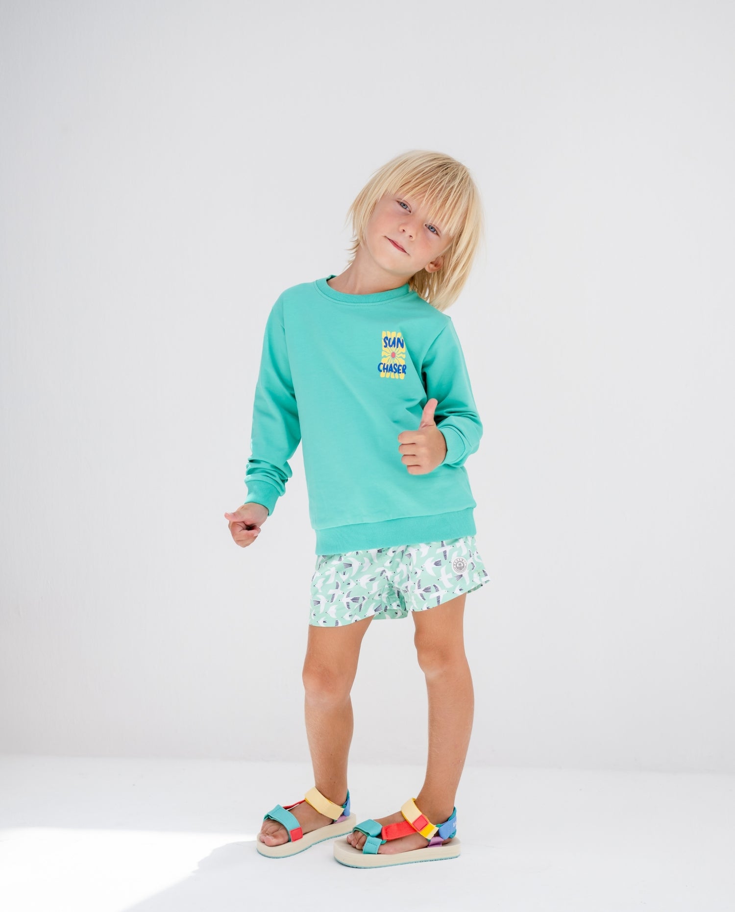 Sudadera Sun Chaser