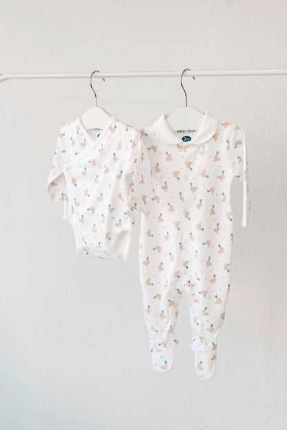 Kimono Canards
